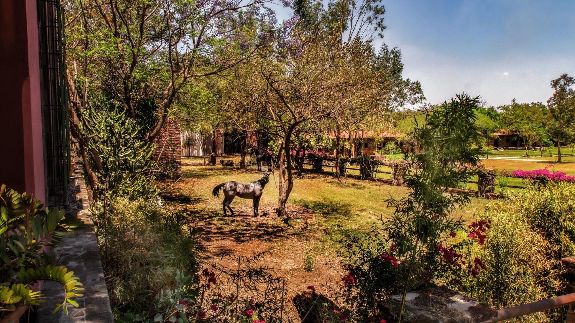 Teuchitlán Hacienda Labor De Rivera Hotel Boutique & Eventos מראה חיצוני תמונה